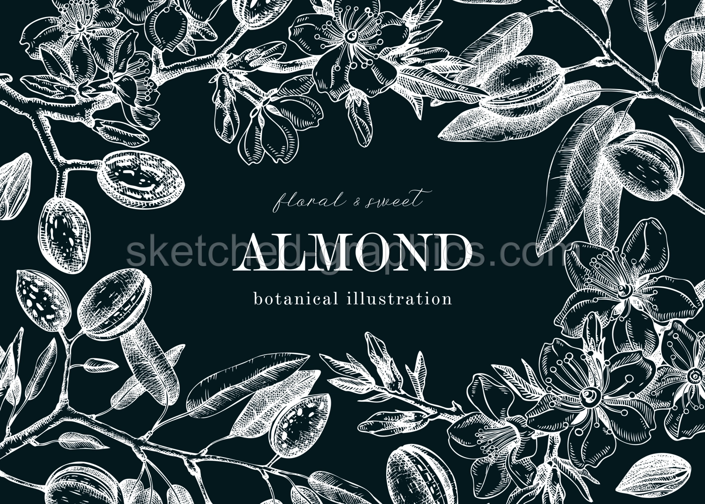Almond blossom frame design on chalkboard. Flowering branches with nuts, flowers, leaves background. Vintage floral drawing. Botanical vector illustration of spring nut tree for banners, prints, cards Illustration